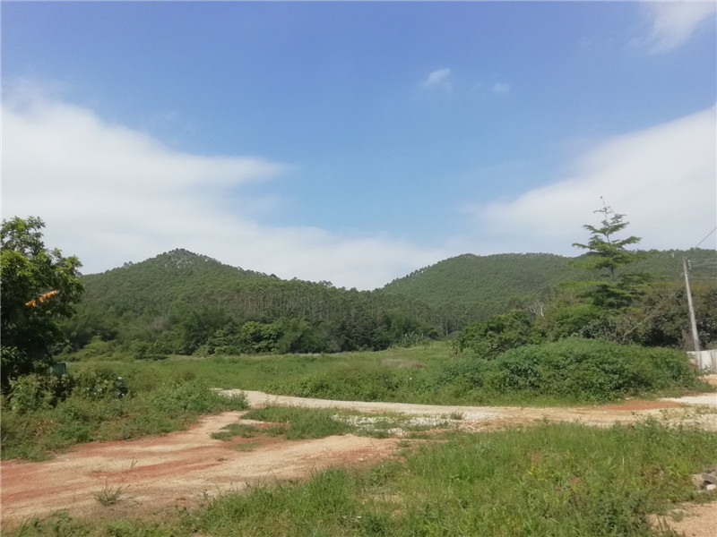 惠州油画写生地点